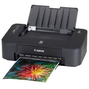 Canon PIXMA TS202 Ink Cartridges